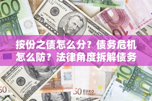 武汉按份之债怎么分？债务危机怎么防？法律角度拆解债务分配与风险自保指南