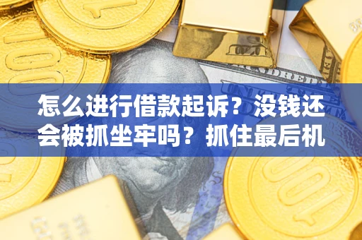 武汉怎么进行借款起诉？没钱还会被抓坐牢吗？抓住最后机会！