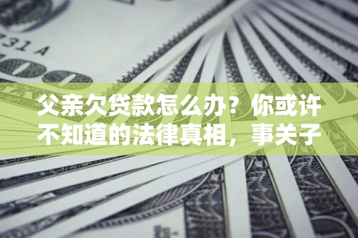 武汉父亲欠贷款怎么办？你或许不知道的法律真相，事关子女未来
