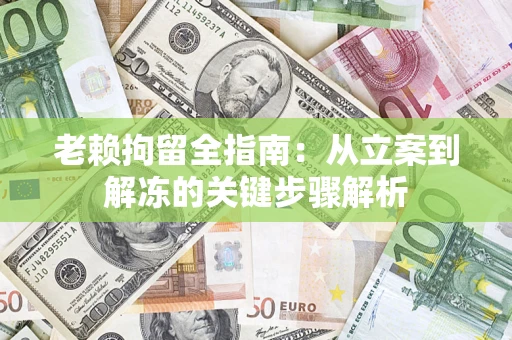 武汉老赖拘留全指南：从立案到解冻的关键步骤解析