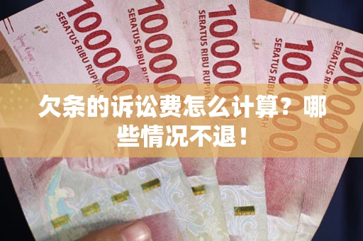 武汉欠条的诉讼费怎么计算？哪些情况不退！