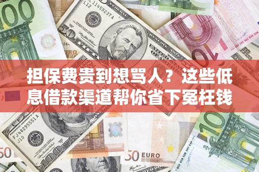 武汉担保费贵到想骂人？这些低息借款渠道帮你省下冤枉钱