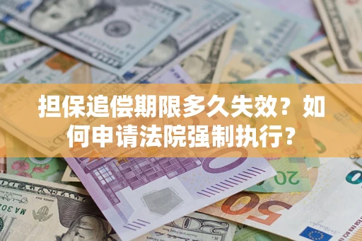 武汉担保追偿期限多久失效？如何申请法院强制执行？
