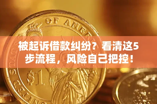 武汉被起诉借款纠纷？看清这5步流程，风险自己把控！