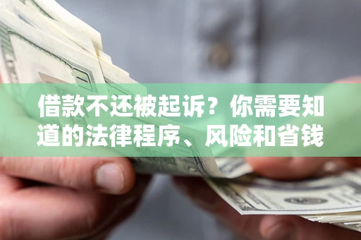 武汉借款不还被起诉？你需要知道的法律程序、风险和省钱技巧